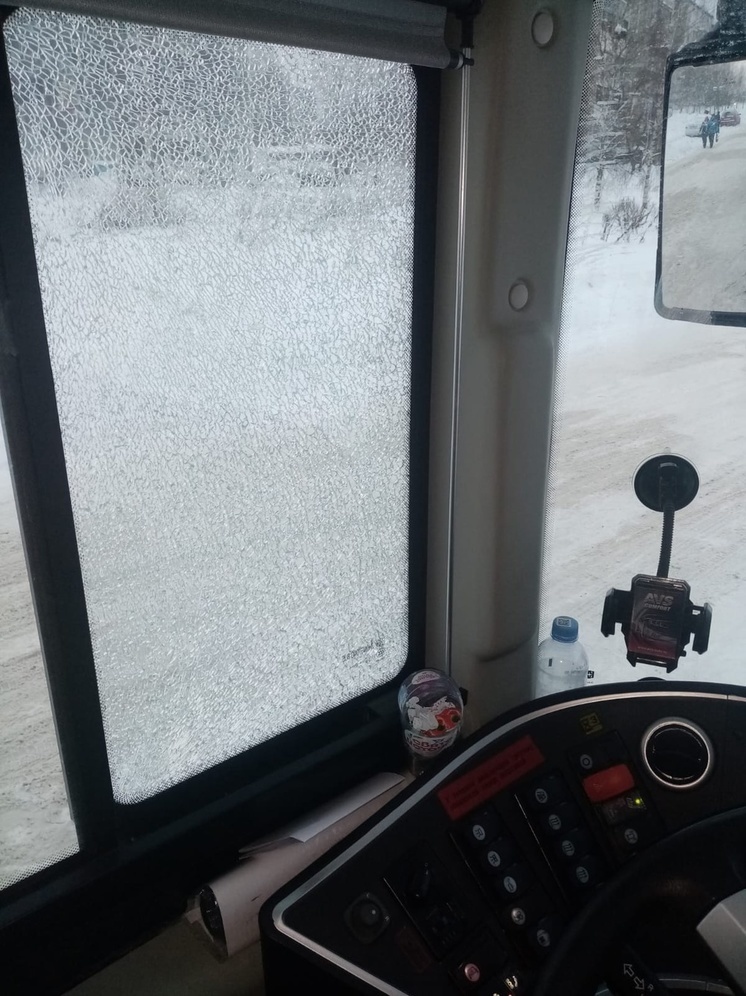 Автобус с хоккеистами из Карелии обстреляли под Москвой