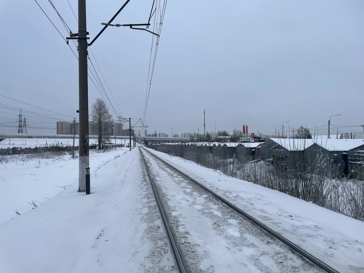 В Петербурге с поезда сняли зацепера, который хотел доехать до Тосно
