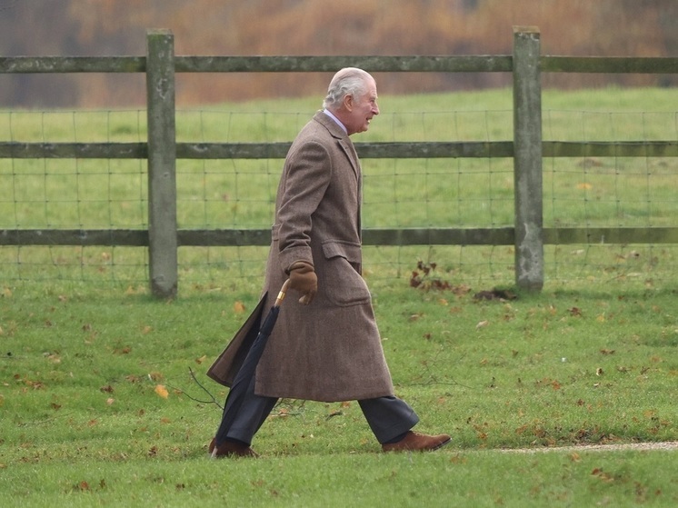 Букингемский дворец сообщил о проведении медицинской процедуры для короля Карла III