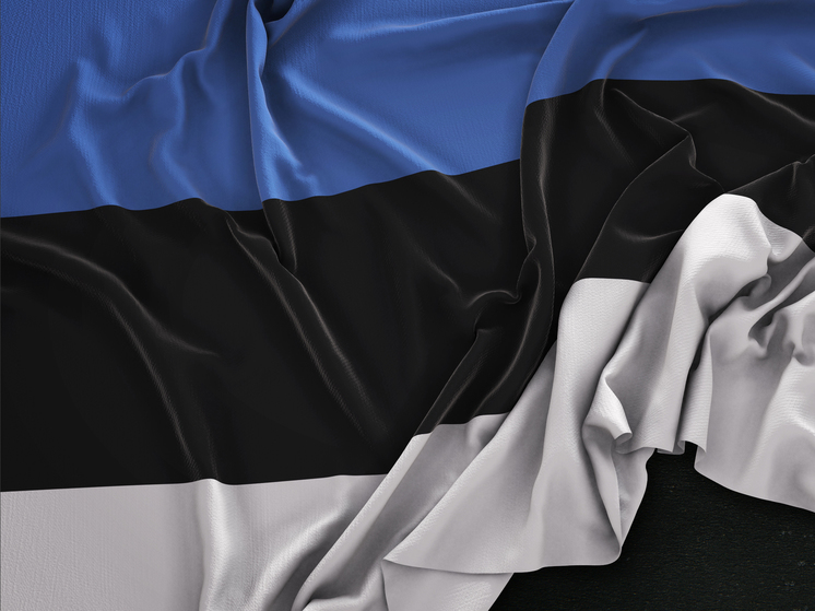 Власти Эстонии ищут возможность запретить голосовать россиянам и белорусам на местных выборах