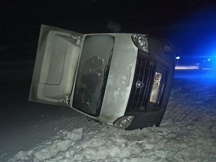 Под Саратовом автомобиль с женщиной за рулем снесло ветром