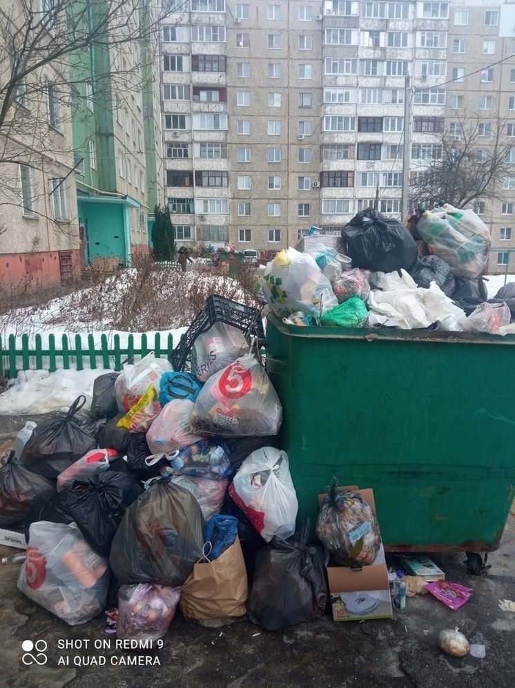 В Орле «Экотексити» отказался вывозить мусор в двух районах