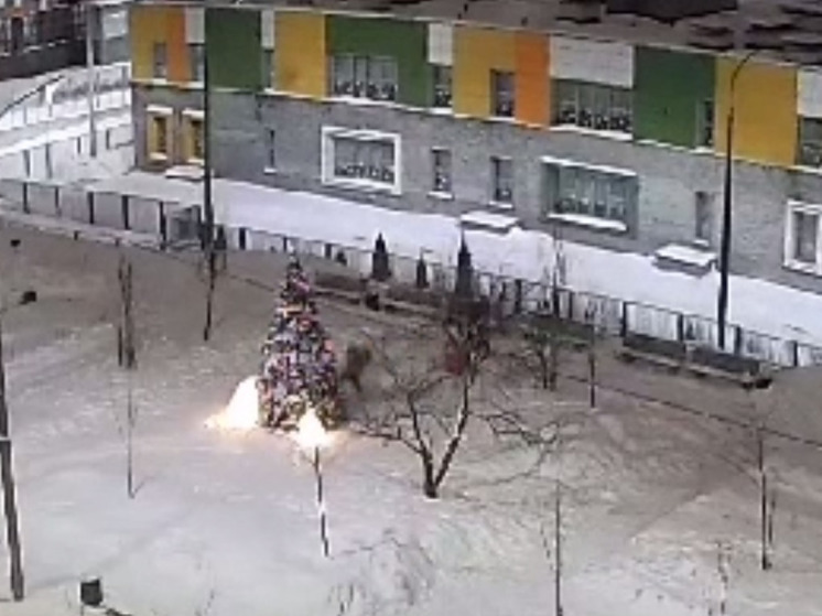 Полиция разыскивает вандалов, изувечивших елку в Мытищах