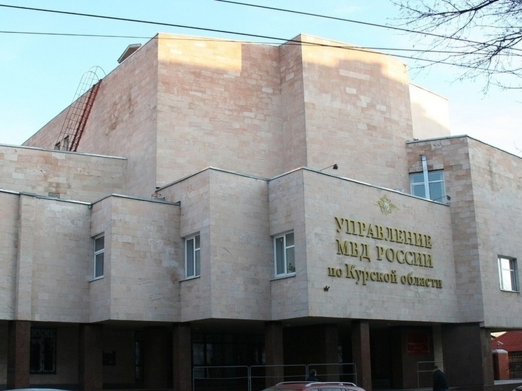 В Курске мужчина помог полиции задержать серийного домушника