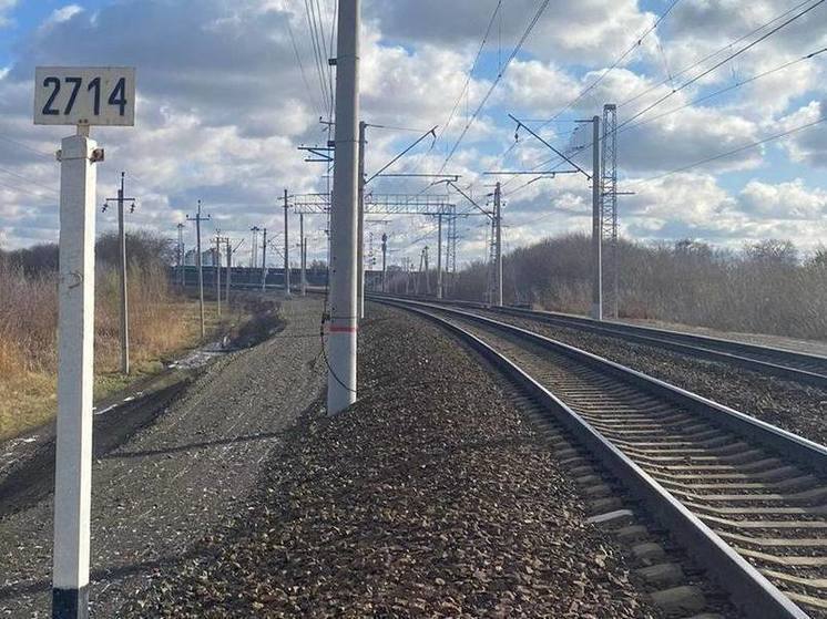 Железнодорожные пути в одном из округов Омска закроют от людей и животных