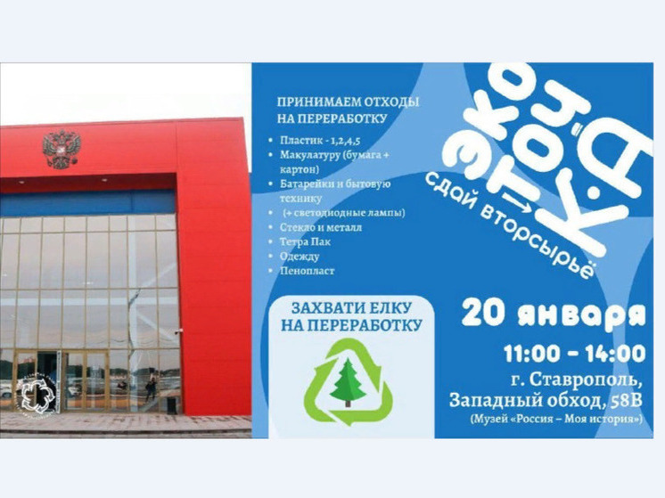 Жители Ставрополя могут сдать ёлки на переработку