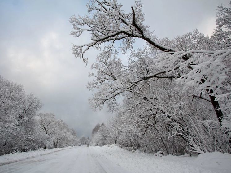 В Подмосковье за сутки потеплеет на 20 градусов