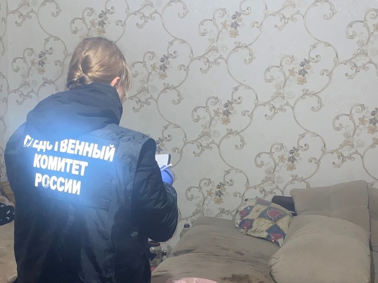 Брянца осудили за покушение на убийство, побои и кражи