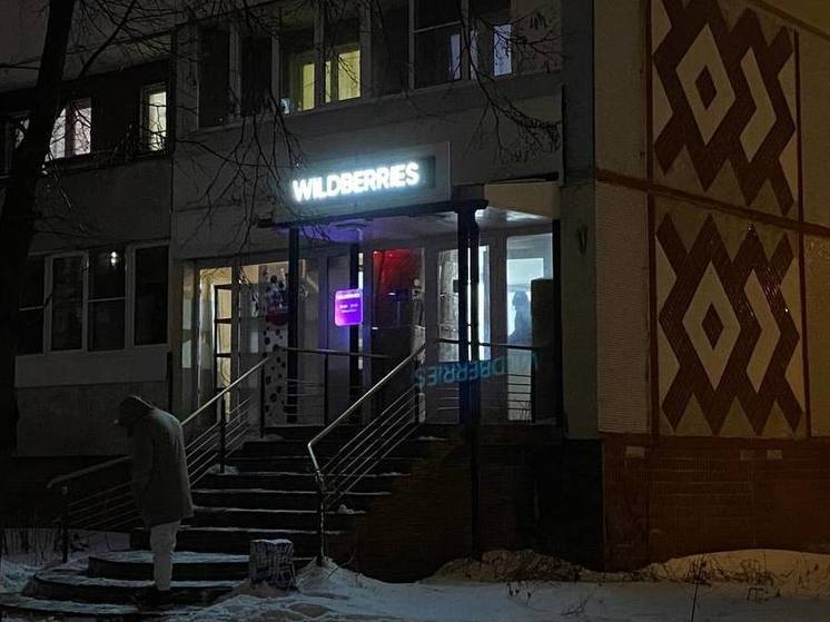 Пожар в Шушарах не приведет к проверке склада Wildberries в Тульской области
