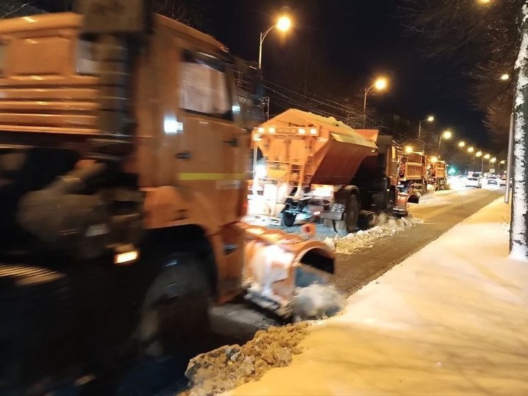 В снегопад комитет муниципального контроля Калининграда проверил почти 500 дворов