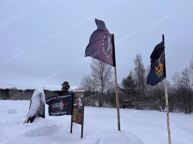 Появились новые фото с места крушения самолета Пригожина в Тверской области
