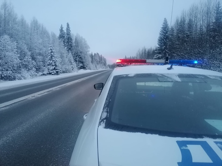 ГИБДД Карелии предупредила о сложной дорожной обстановке