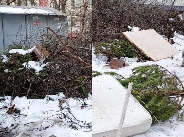 В Ростове на улице Зорге образовалась огромная свалка из выброшенных елок