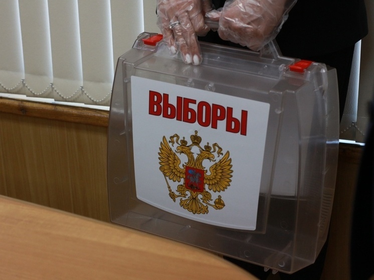 Биллютени для тульских избирателей будут готовы до 6 марта