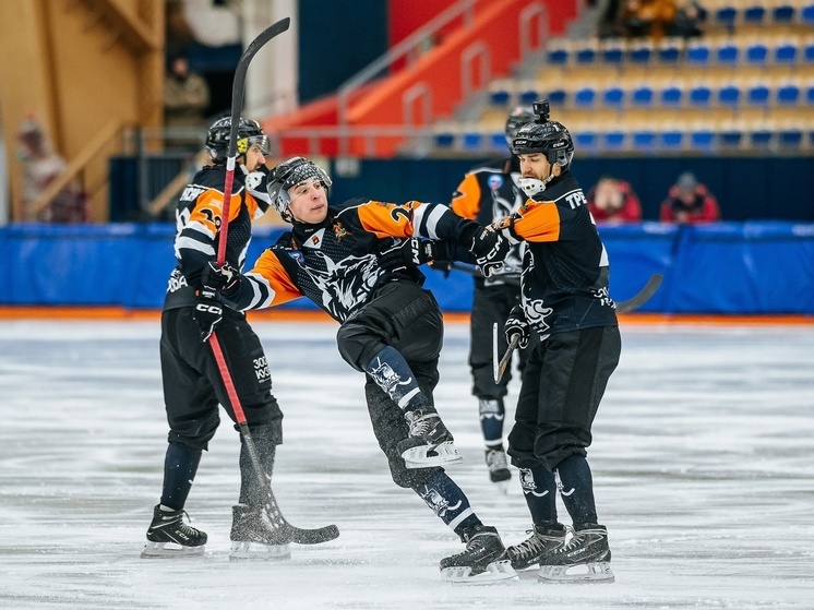 Хоккейный «Кузбасс» одержал разгромную победу в 17-м туре чемпионата России