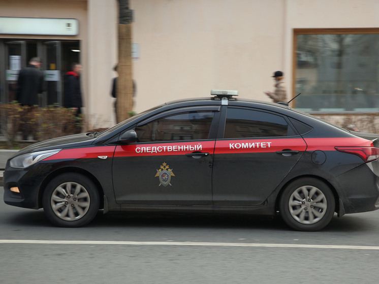 Детей участника СВО затравили в Истринской школе