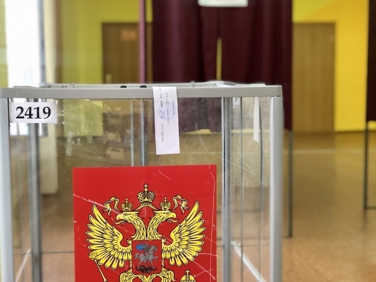 В Тульской области для выборов президента изготовят 1 141 200 бюллетеней