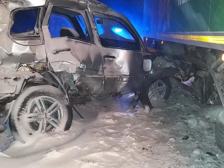 В ДТП на трассе Р-22 в Скопинском районе погиб водитель Chevrolet