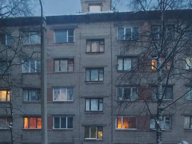 Упавшая с крыши снежная глыба травмировала жительницу Новодвинска