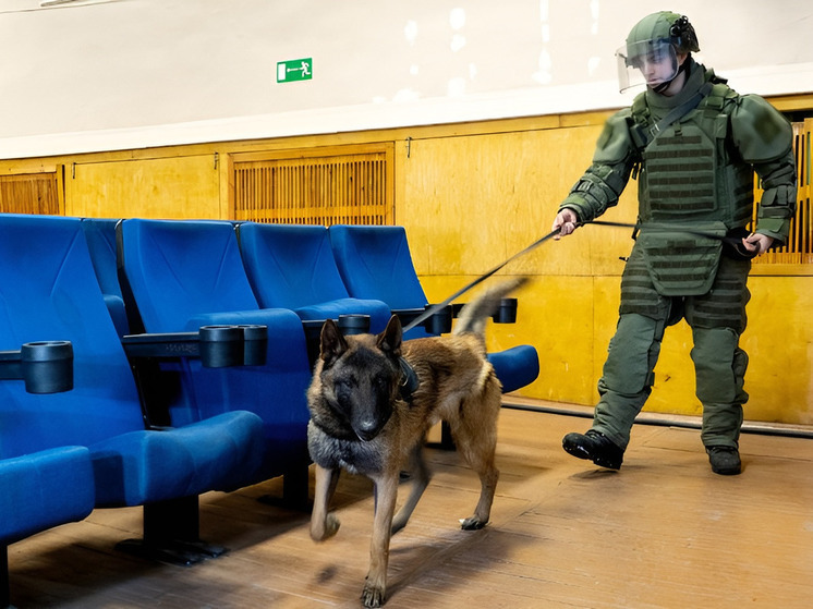 Военные саперы отработали практические задачи в условиях Крайнего Севера