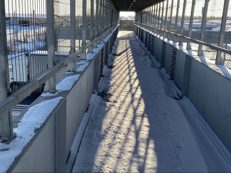 Под Владимиром в Ворше заработали надземные пешеходные переходы