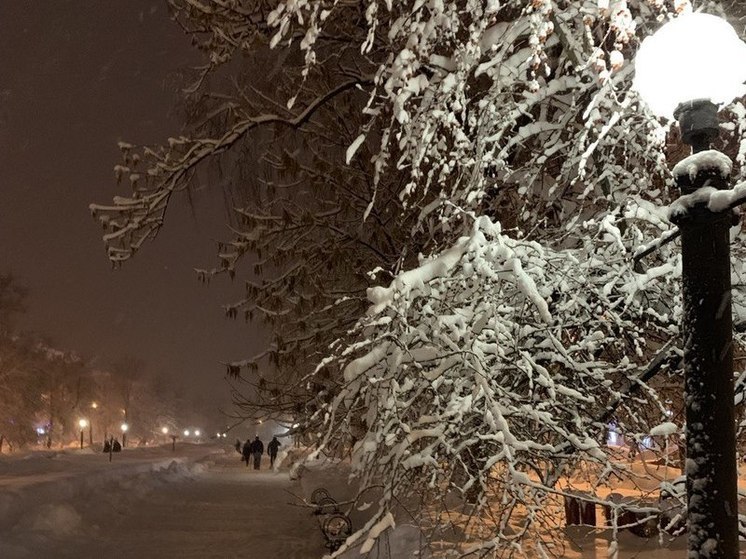 Пензенцы ждут наступления снежного Армагеддона