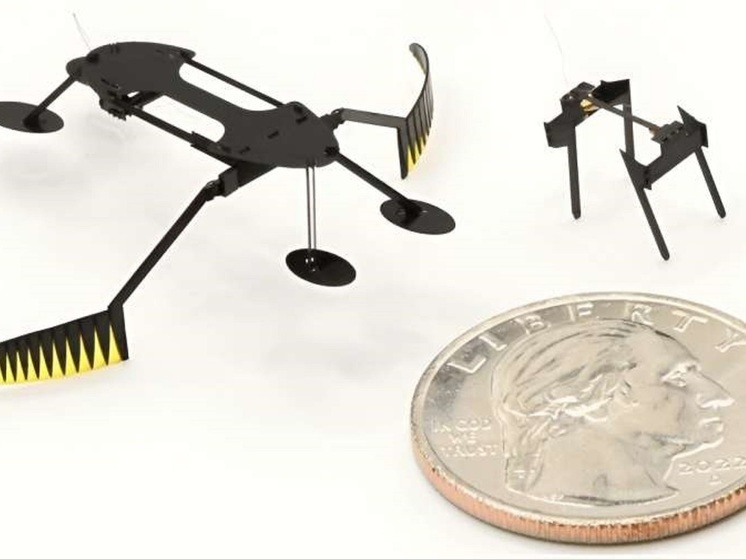 Инженеры из Вашингтонского университета изобрели рекордно миниатюрного робота-водомерку