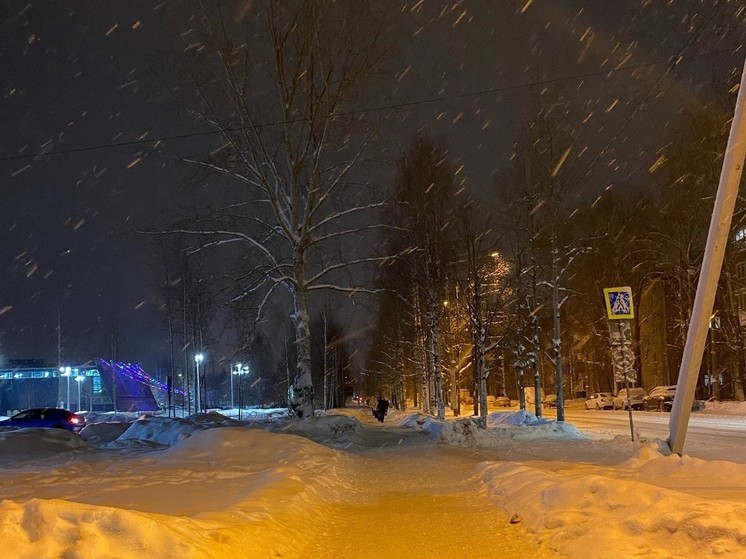 В выходные жителей Поморья ждет прохладная погода