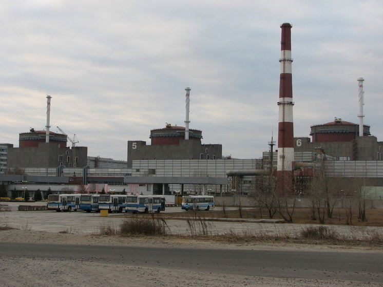 МАГАТЭ: на периферии Запорожской АЭС снова обнаружены мины