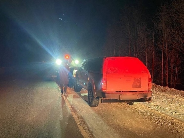 На трассе Ямала полиция не дала замерзнуть людям в заглохшем авто