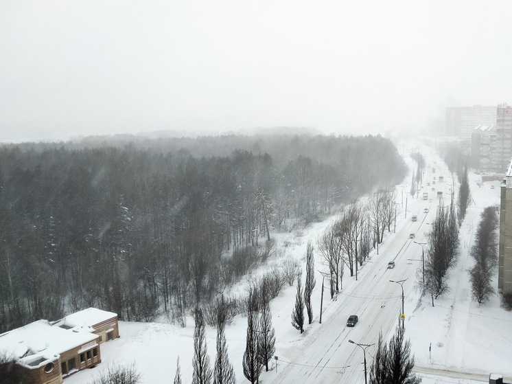 Из-за снегопада в Йошкар-Оле действует режим повышенной готовности