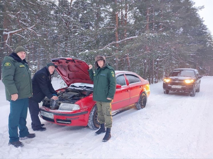 Пенсионер с маленькими внуками не смог завести машину в морозном лесу