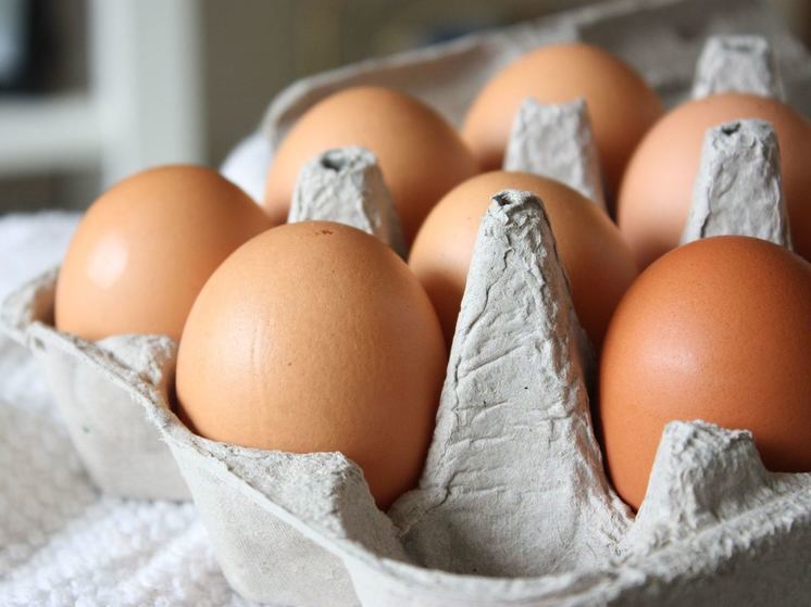 Яйца из-за рубежа в новосибирскую область не поступали