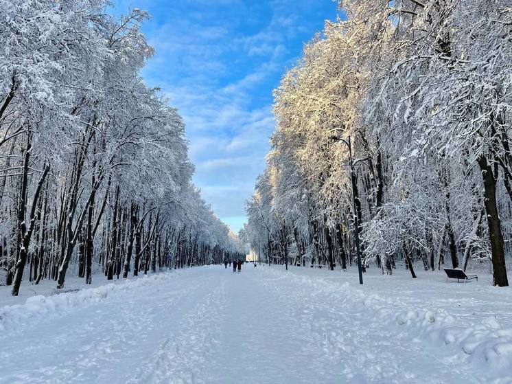 21 января в Рязанской области ожидается до -14 градусов