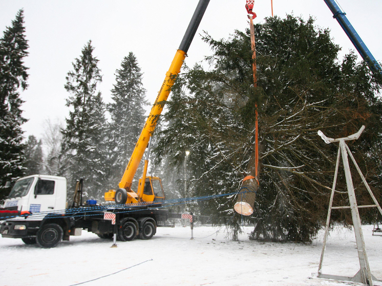 Животные московских зоопарков съедят главную новогоднюю елку страны