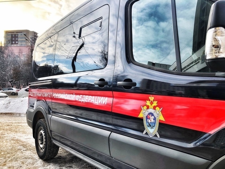 Нападением пса на девочку в Тверской области заинтересовались в центральном аппарате СК