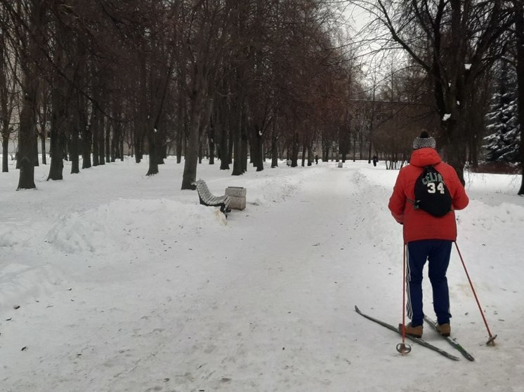 Ленинградцев пригласили на лыжную экскурсионную прогулку в Нижне-Свирский заповедник