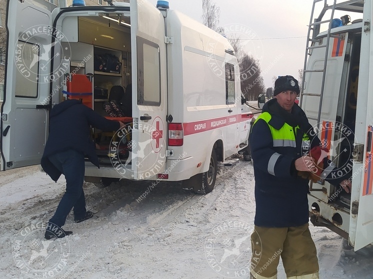 В Котласе спасатели нашли пропавшего пенсионера-лыжника