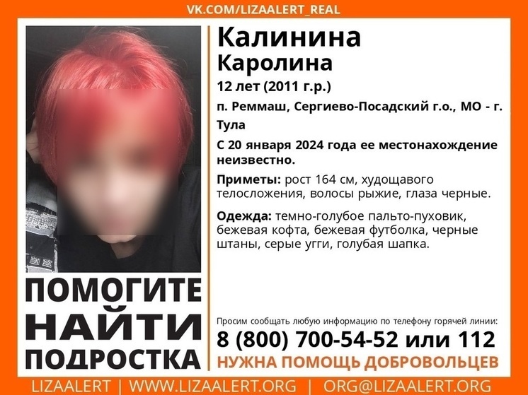 В Тульской области ищут 12-летнюю девочку с рыжими волосами