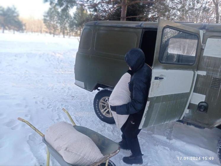 Специалисты доставили корм журавлям, зимующим в Муравьевском парке в Амурской области