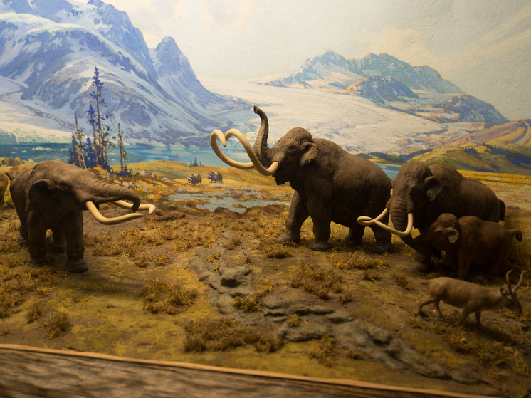 The discovery has revolutionized scientists' ideas about the relationship between ancient people and woolly giants