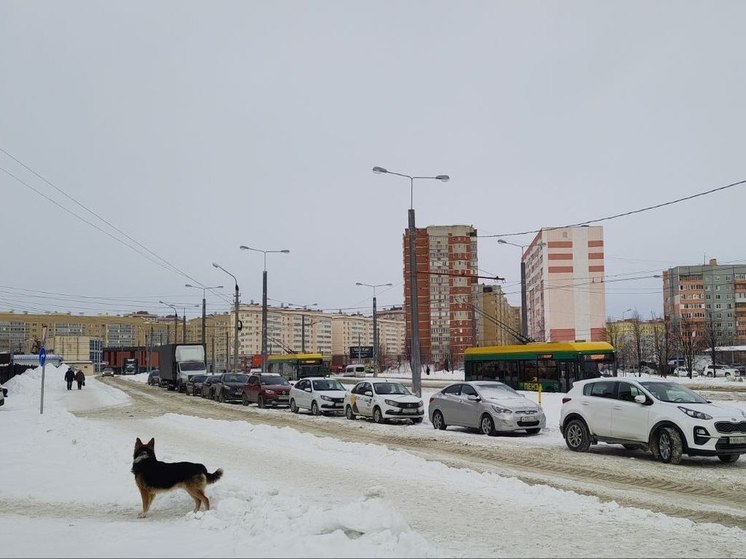 Пензенские Госавтоинспекторы будут штрафовать водителей за езду по встречке