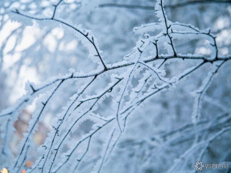 До -35℃: мороз накроет Кузбасс в первый день недели