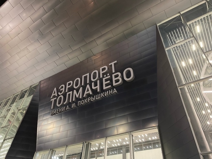 Самолет Новосибирск – Москва прервал взлет в Толмачево из-за открытой двери