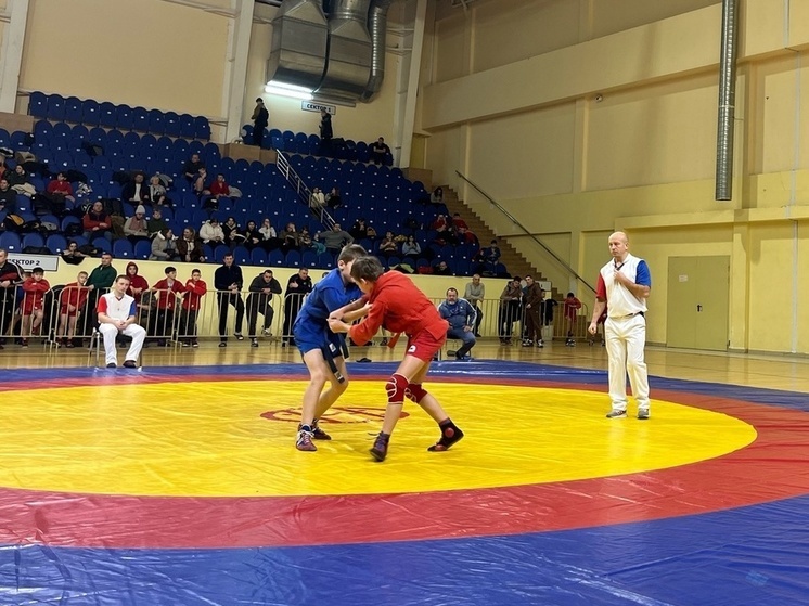 В Смоленске прошел турнир по самбо памяти Василия Рублевского