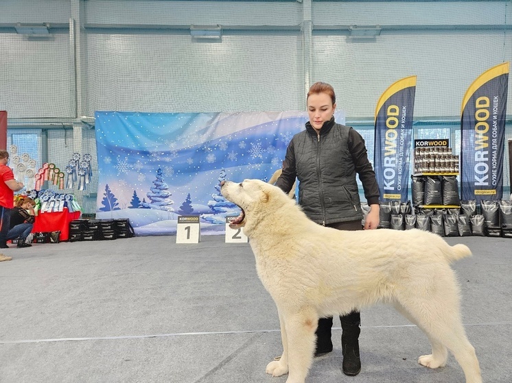 В Смоленске в «Смене» открылась выставка собак