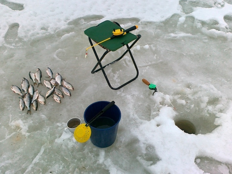 Чемпионат России по ловле на блесну со льда проходит в Подмосковье