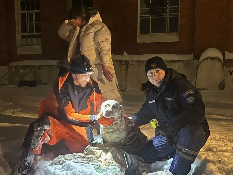 Спасатели вытащили лабрадора, провалившеся в канализационный колодец