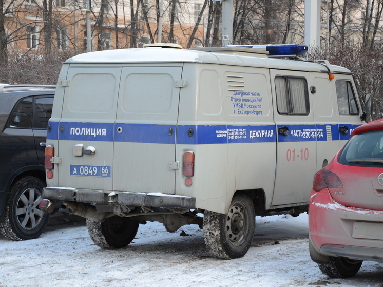 Екатеринбургские полицейские поймали веловора