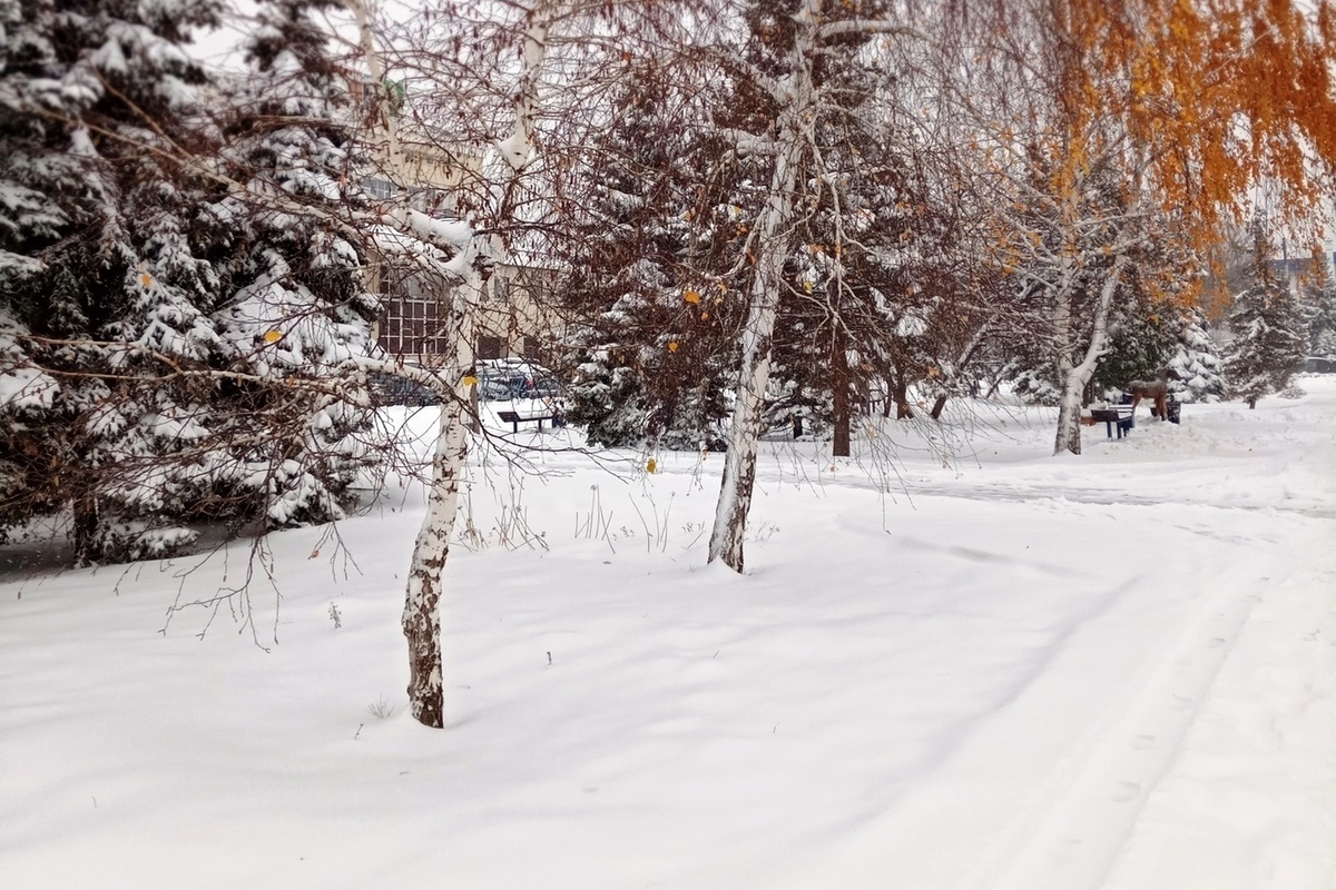 22 января бури. Магнитные бури. 22 января бури. Магнитные бури на солнце. 22 января бури.